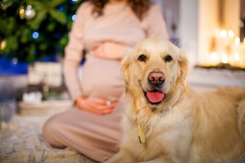 I benefici di tenere un cane durante la gravidanza