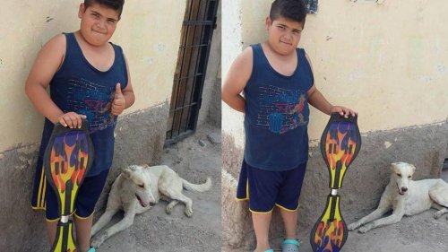 Bambino vende skateboard per comprare medicine ad un cane randagio