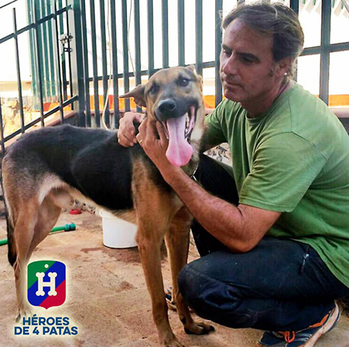 cane-in-gabbia-con-uomo