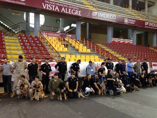 Adottate un cane congedato dalla polizia