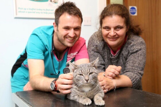 gatto-sopravvissuto-in-lavatrice-2