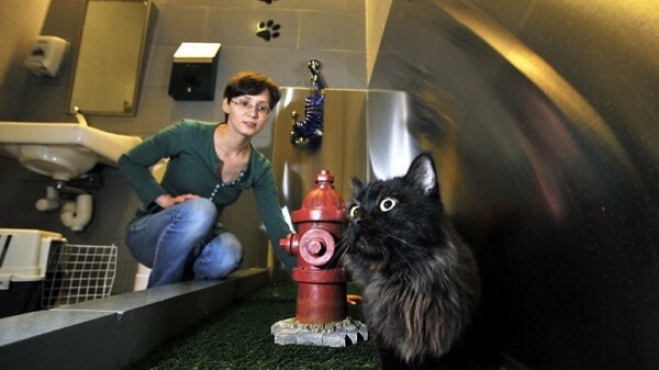 Bagni per cani e gatti arrivano negli aeroporti