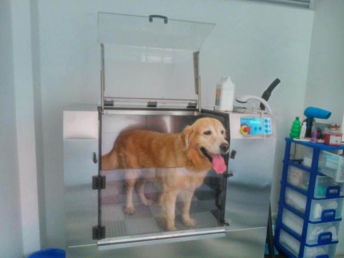 Come funzionano le lavatrici per cani
