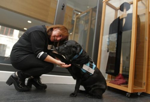 Cani nei tribunali per dare sostegno ai testimoni