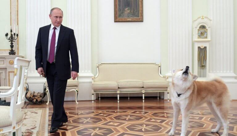 Il cane di Putin spaventa giornalisti giapponesi