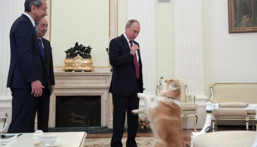 Il cane di Vladimir Putin spaventa i giornalisti giapponesi