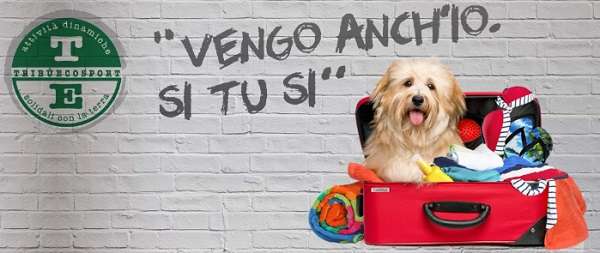 Le reti sociali contro l'abbandono di cani e gatti