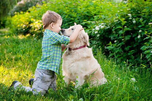 Insegnate ai vostri figli il linguaggio del corpo del vostro cane