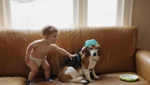 Bambino spedisce una lettera al cane morto e riceve una bella risposta