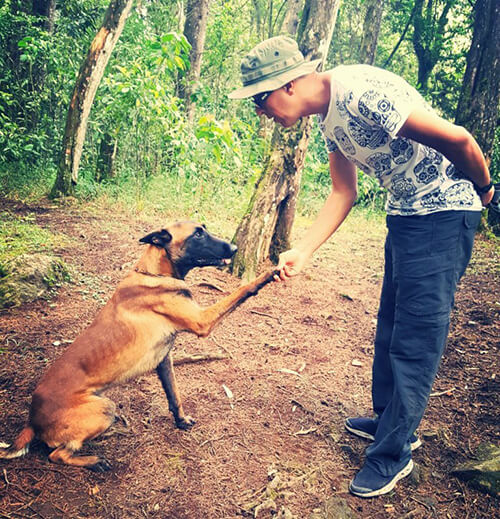 cane dà la zampa al padrone