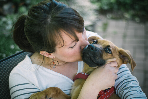 donna che bacia cane