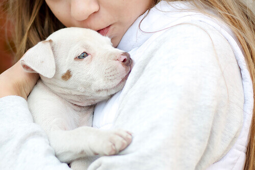 Gli animali usati come terapia per il Disturbo dello Spettro Autistico
