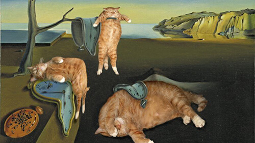 opere d'arte con gatti