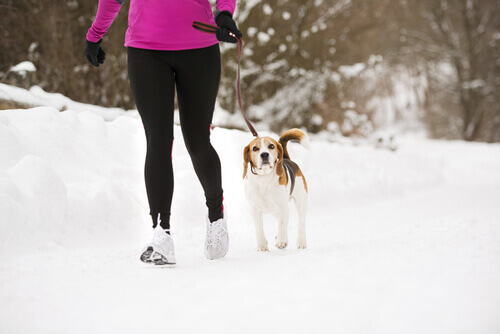 Effetto Lassie: il vostro cane può aiutarvi a mantenervi in forma