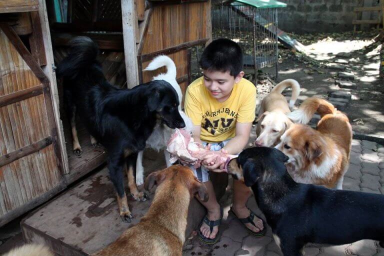 Ken, il bambino che ha creato un rifugio per animali