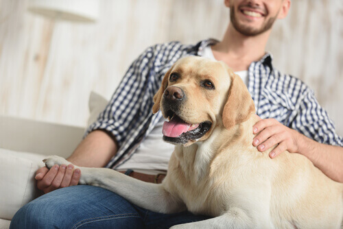 Sapevate che i cani riconoscono il tono di voce?