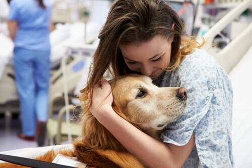 Cani infermieri che ci salvano la vita