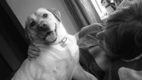 Quando il cane salva la vita al proprio padrone