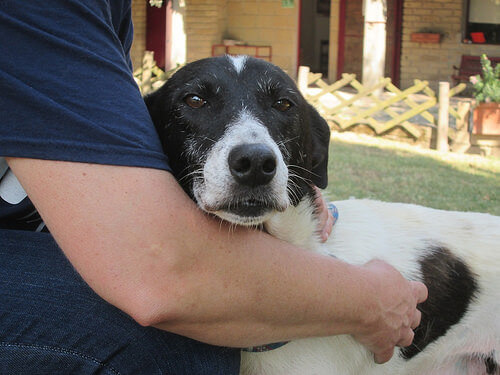 Con te fino in capo al mondo