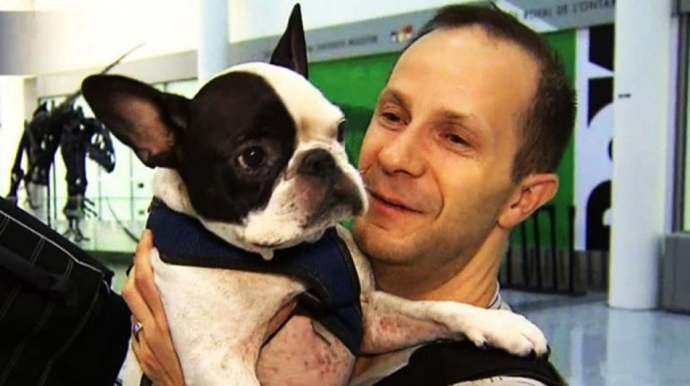 Un pilota d'aereo salva la vita a un cane