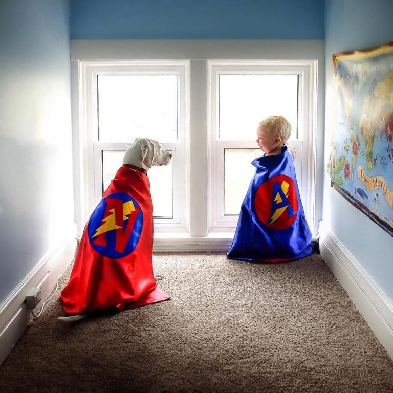 terapia con cane che ha subito maltrattamenti