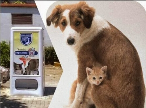 In Spagna nasce il primo distributore automatico di cibo per animali
