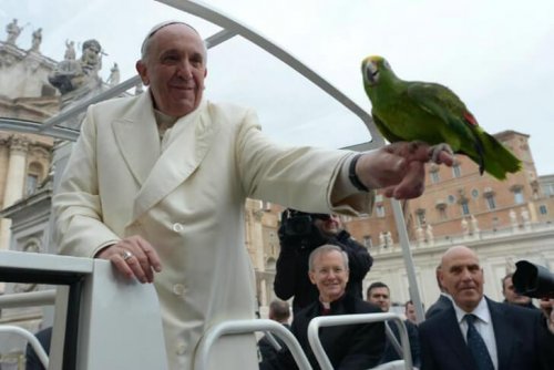 Papa Francesco e gli animali