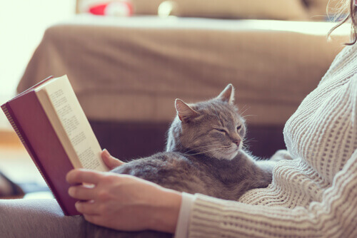 10 vantaggi di vivere con un gatto in casa