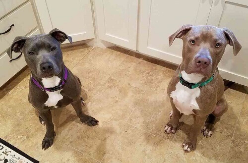 Hansel e Gretel, una tenera storia d'amicizia