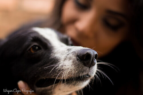 cucciolo di cane e padrona