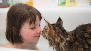 Il rapporto di una bimba autistica con il suo gatto