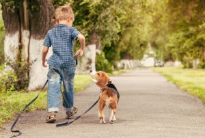 Bambini e cani, la combinazione migliore