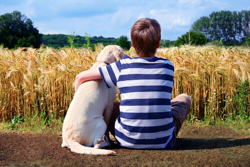Bambino e cane in campagna