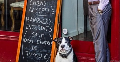 Ristorante parigino permette l’ingresso ai cani ma non ai banchieri