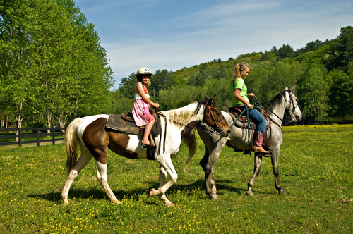 bambine in groppa a cavalli sul prato