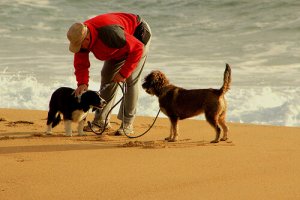 10 consigli per andare a correre con il vostro cane