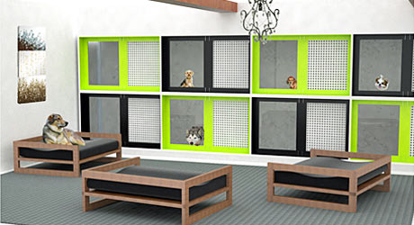 stanza con varie cucce per cani