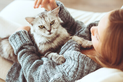 Gatto e padrona sul letto