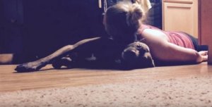 Colt, il cane addestrato per assistere la sua padrona