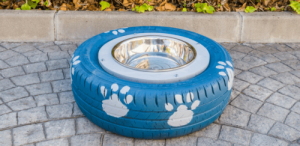 Come costruire un abbeveratoio per cani fatto in casa