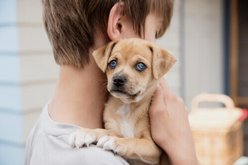 bambino con cagnolino in braccio