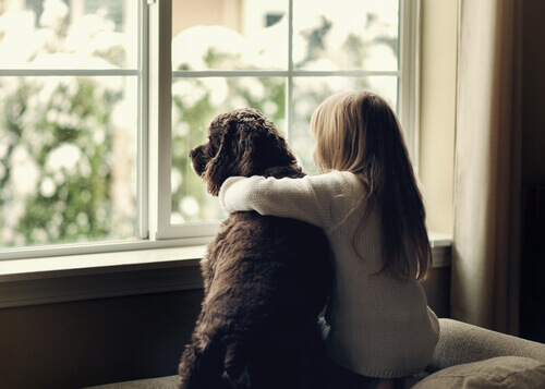bambina che abbraccia cane davanti alla finestra