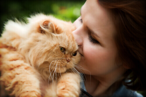 donna che bacia gatto rosso a pelo lungo 