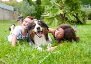 Un cane per i vostri figli: meglio piccolo o grande?