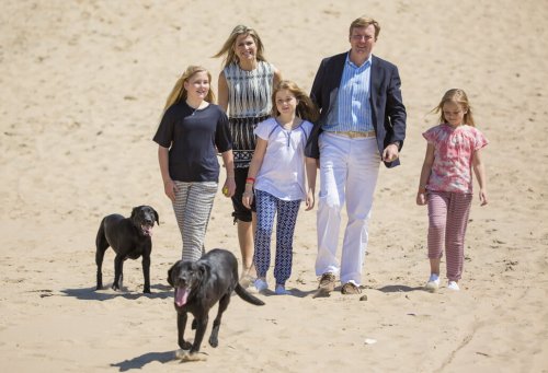 la famiglia reale olandese in spiaggia con i cani