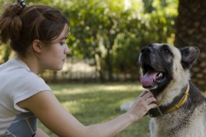 Animali e tecnologia: ecco lo smartphone per cani