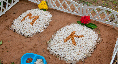 Due tombe di animali domestici