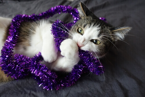 gatto che gioca con un addobbo natalizio