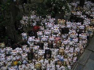 Gatto della fortuna: da dove nasce questa credenza?