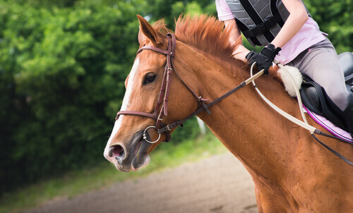 Come imparare ad andare a cavallo?